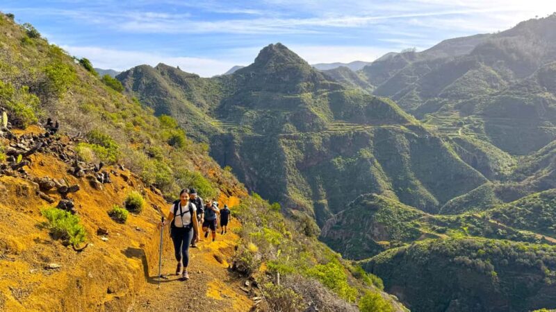 Tenerife: Anaga Hiking Tour & Enchanted Forest with Pickup - Practical Details: Logistics and What to Bring