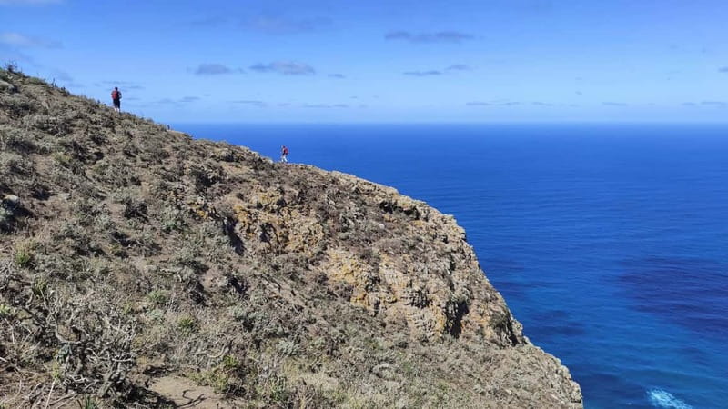Tenerife: Anaga, Laurel Forest Guided Hike + Canarian Food - Practical Tips for the Hike and Food Stop