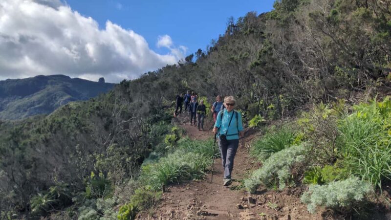 Tenerife: Anaga, Laurel Forest Guided Hike + Canarian Food - Who Will Love This Tour