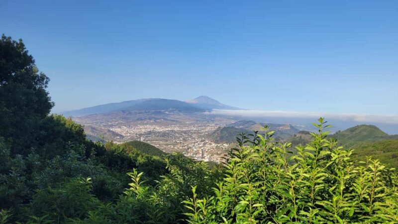 Tenerife Anaga Mountains: Circular hike in the laurel forest  small group max. 10 - Stunning Views of Valleys and Gorges