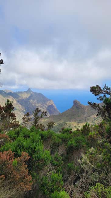 Tenerife Anaga Mountains: Circular hike through the Taganana Valley - small group max. 10 - From the Casa Forestal Starting Point to the Laurel Forest