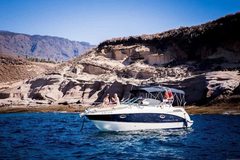 Tenerife: Armani Charter with Snacks and Drinks 2-3-6 hours - Wildlife Watching: Dolphins, Whales, and Marine Life