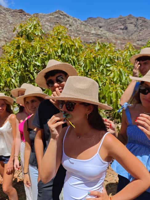 Tenerife: Avocado Farm Tour with Tasting Menu & Wine - Visiting Finca Coviella: The Starting Point for Your Avocado Adventure
