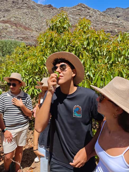 Tenerife: Avocado Farm Tour with Tasting Menu & Wine - The Experience of Walking Through the Plantation