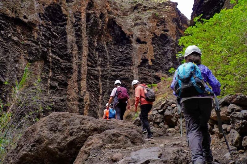 Tenerife Barranco de Masca: Guided hike + boat ride + transport - Starting Point and Transport Logistics in Santiago del Teide