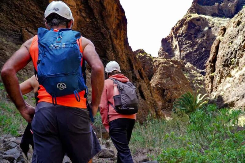 Tenerife Barranco de Masca: Guided hike + boat ride + transport - Who Will Most Enjoy This Tour?