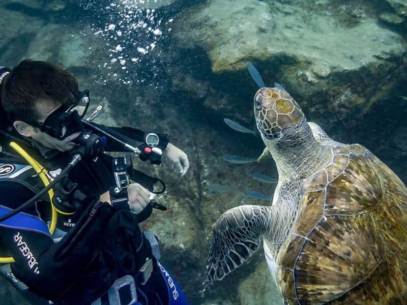 Tenerife: Beginner Scuba Dive Experience with Small Groups - How the Tenerife Dive Experience Starts at Aquarius
