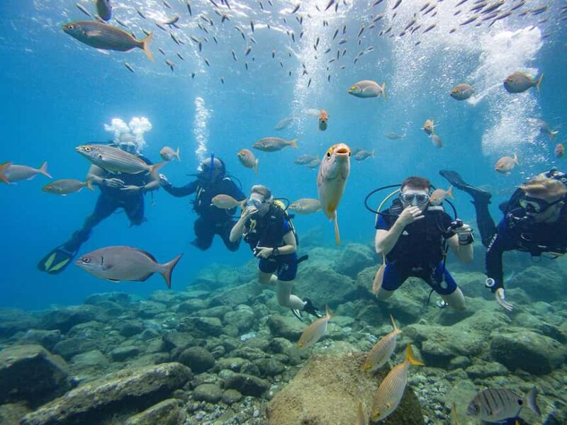 Tenerife: Beginner Scuba Dive Experience with Small Groups - The Role of the Instructors and Multilingual Approach