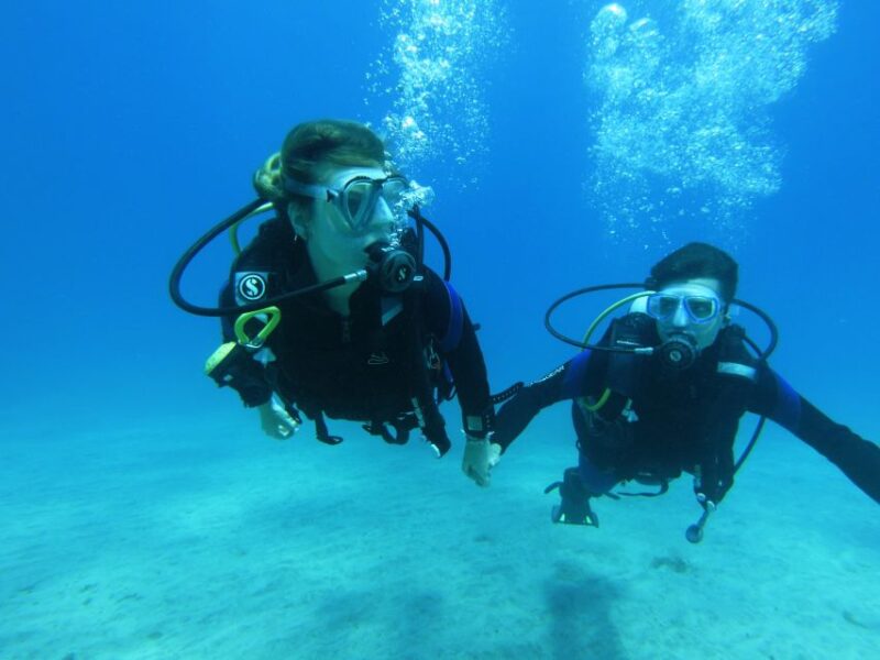 Tenerife: Beginner Scuba Dive Experience with Small Groups - Logistics: Meeting Point and Transportation