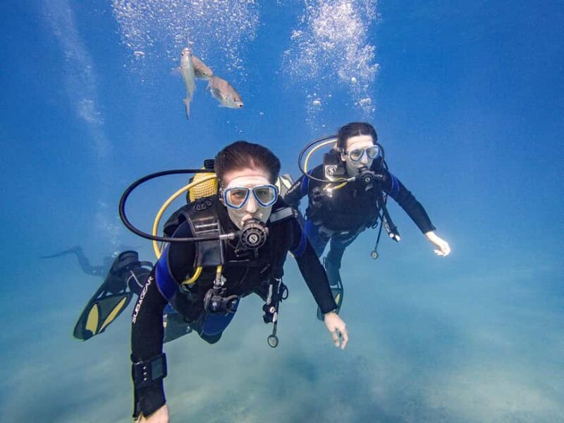 Tenerife: Beginner Scuba Dive Experience with Small Groups - Who Should Consider This Tour