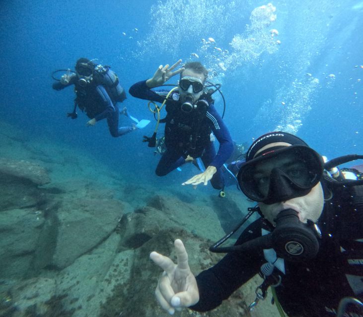 Tenerife: Beginner's Dive at a Spot with Turtle Sightings - Key Points