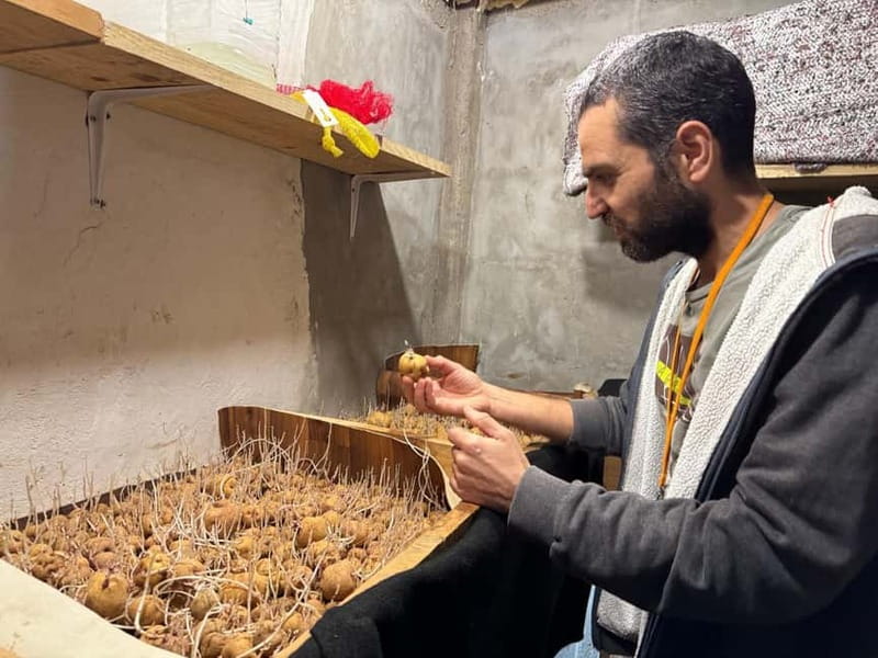 Tenerife: Canary History and Color Potatoes - Visit the Birthplace of Colorful Canarian Potatoes