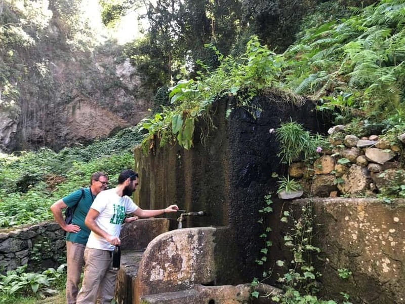 Tenerife: Canary History and Color Potatoes - Tasting Organic, Colorful Potatoes