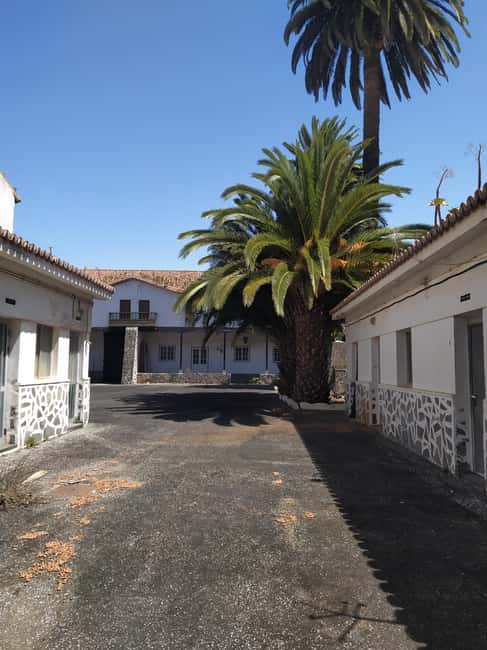 Tenerife: Candelaria Walking Tour with Basilica Visit - Key Points