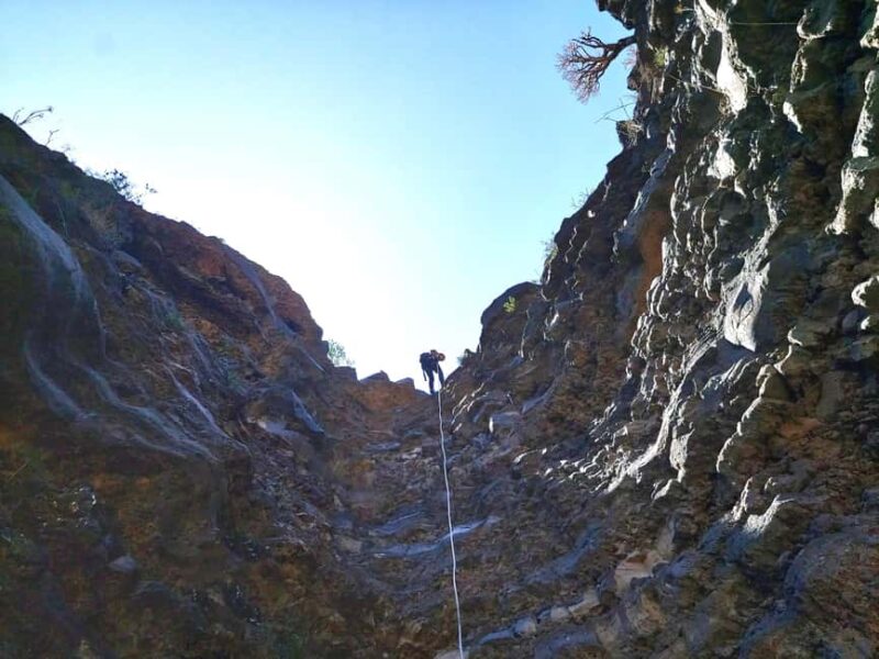 Tenerife: Canyoning Adventure with Hotel Pickup - Tenerife’s Volcanic Canyons and Endemic Plants