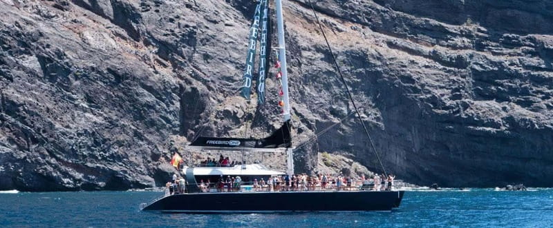 Tenerife: Catamaran Cruise with an Open Bar - Tenerife: Catamaran Cruise with an Open Bar