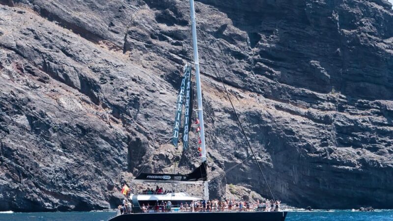 Tenerife: Catamaran Cruise with an Open Bar - Overall Experience and Suitability