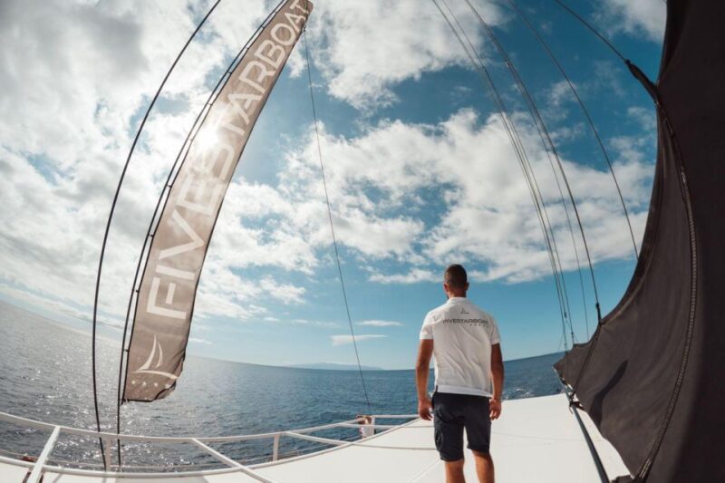 Tenerife: Catamaran Cruise with Brunch and Unlimited Drinks - Comfort, Cleanliness, and Overall Facilities