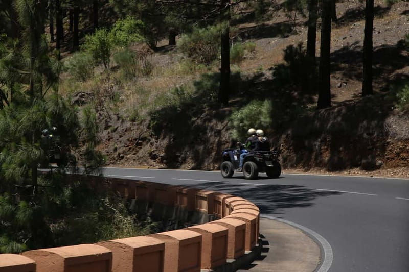 Tenerife: Coastal Sights to Woodland Heights Quad Tour - Riding Through the Corona Forestal and Pine-Lined Routes