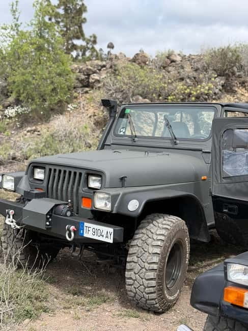 Tenerife: Coastal tour in a Jeep Wrangler to Los Gigantes and the South Coast - Visiting the Cliffs of Los Gigantes