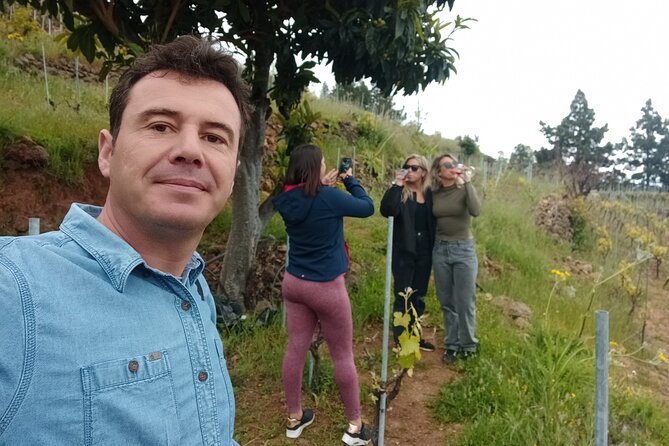 Tenerife Culture, History and Wine Private Tour - Key Points