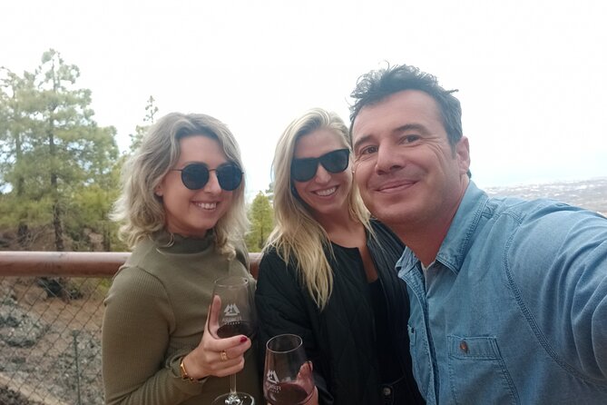 Tenerife Culture, History and Wine Private Tour - Exploring the Historic Charm of San Cristobal de La Laguna