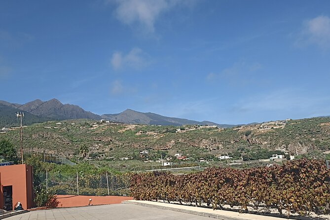 Tenerife Culture, History and Wine Private Tour - Convenient Logistics and Inclusive Features