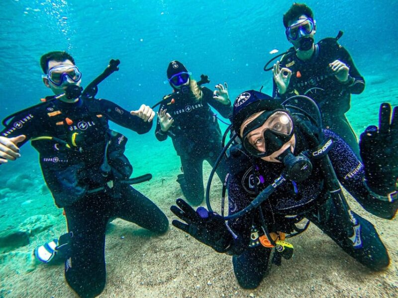 Tenerife - Discover Scuba Diving Experience with Instructor - Discover the Underwater World of Tenerife with Professional Guidance
