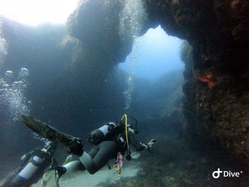 Tenerife - Discover Scuba Diving Experience with Instructor - Flexibility and Booking Options