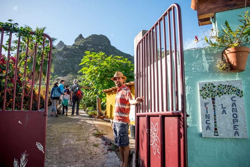 Tenerife: Discover the only vanilla cultivation in Canaries - The Seasonal Aspect: When to See Vanilla Bloom and Harvest