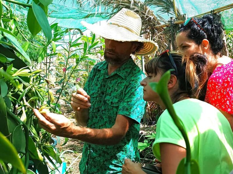 Tenerife: Discover the only vanilla cultivation in Canaries - Final Thoughts: Who Will Enjoy This Tour Most?
