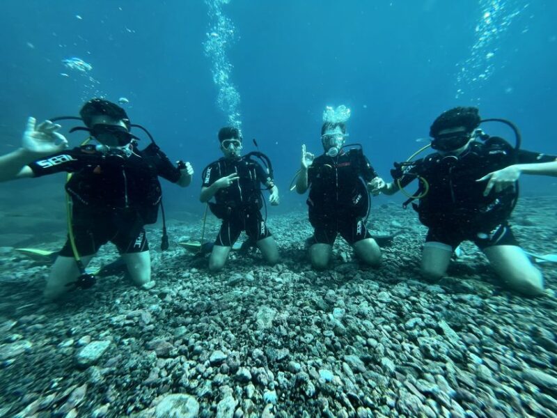 Tenerife : Diving License in one day - Considerations and Limitations