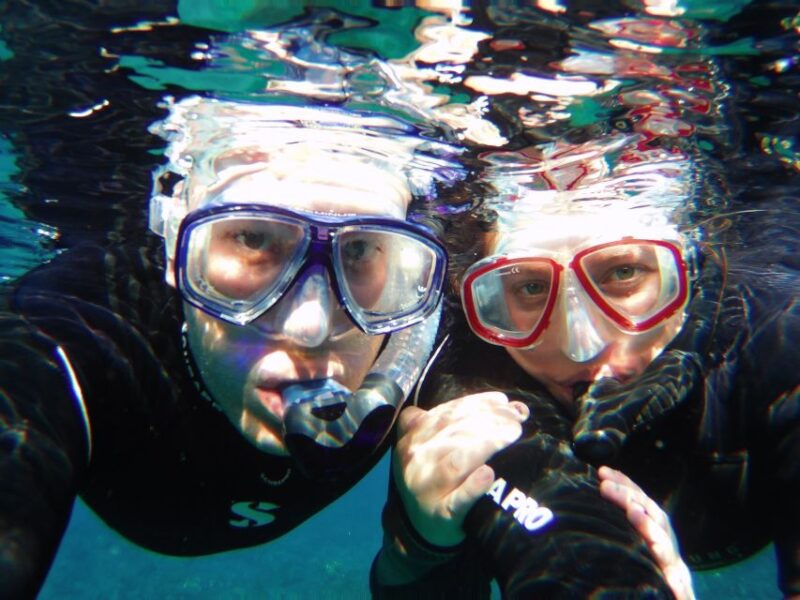 Tenerife Exclusive Snorkeling Trip with Marine Biologist - Practical Details: What to Bring and Tips for Participants
