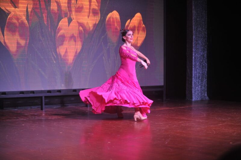 Tenerife: Flamenco Performance at Teatro Coliseo - Discover the Flamenco Spectacle at Teatro Coliseo in Tenerife