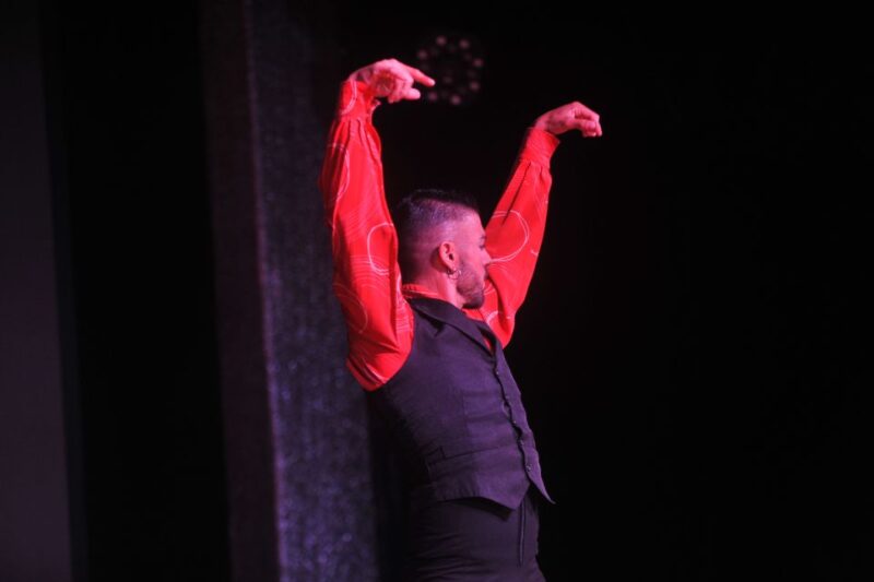 Tenerife: Flamenco Performance at Teatro Coliseo - Choosing Your Seats: Standard or VIP