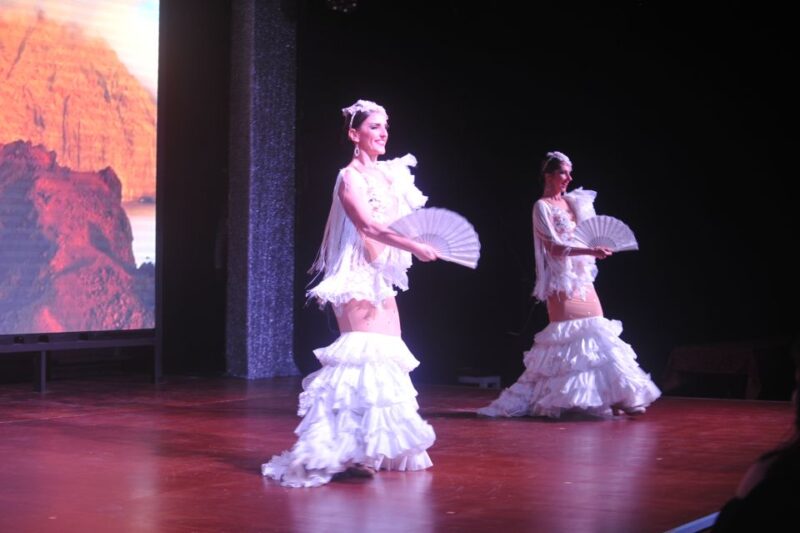 Tenerife: Flamenco Performance at Teatro Coliseo - Accessibility and Physical Requirements