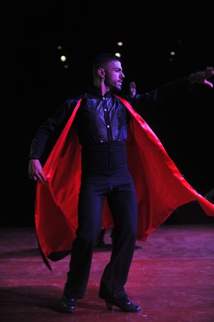Tenerife: Flamenco Performance at Teatro Coliseo - What Makes This Flamenco Show Stand Out