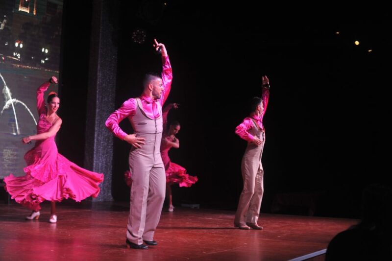 Tenerife: Flamenco Performance at Teatro Coliseo - Who Will Most Enjoy This Experience?