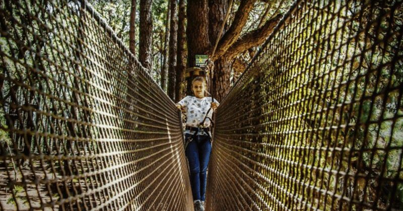 Tenerife: Forestal Park Tenerife Entry Ticket - Safety Measures and Participant Requirements