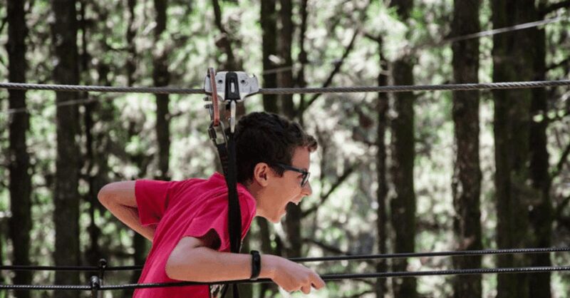 Tenerife: Forestal Park Tenerife Entry Ticket - Booking and Cancellation Flexibility