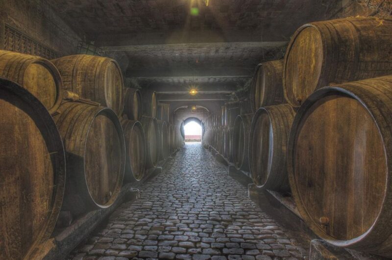 Tenerife: Full-Day Gastronomy and Wine Tour - Bodega Monje and the Ocean View Lunch Experience