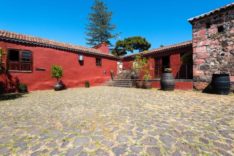 Tenerife: Full-Day Gastronomy and Wine Tour - The Guide and Tour Experience