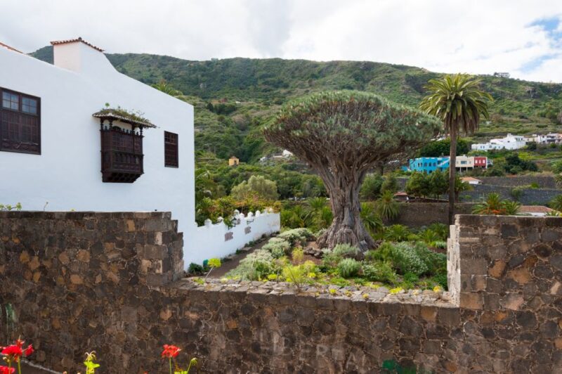 Tenerife: Full-Day Guided Island Tour - Key Points