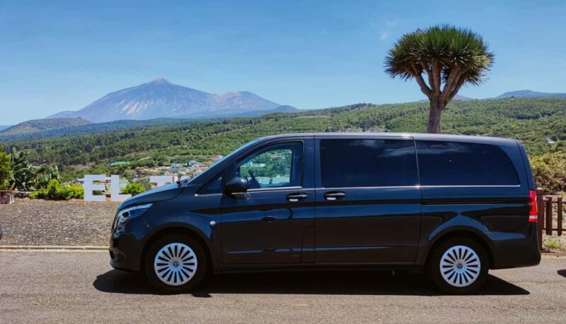 Tenerife: Full-Day Minivan Tour with Villages and Landscapes - Key Points