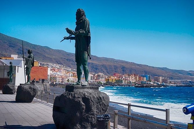 Tenerife Full Island Tour - Free Time and Lunch in Puerto de la Cruz