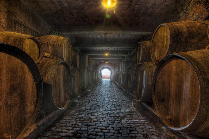 Tenerife Gastronomy Tour with Two Winery Visits and 4-Course Lunch - Who Will Enjoy This Tenerife Gastronomy Tour?