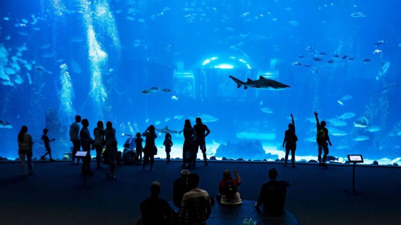 Tenerife: Gran Canaria Full-Day Guided Tour with Aquarium - Discovering Vegueta: The Historic Heart of Las Palmas