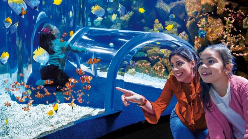 Tenerife: Gran Canaria Full-Day Guided Tour with Aquarium - Value for Money and Tour Experience