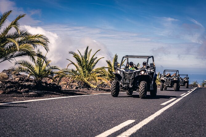 Tenerife Guided Buggy Discovery Tour Around Mount Teide - Key Points