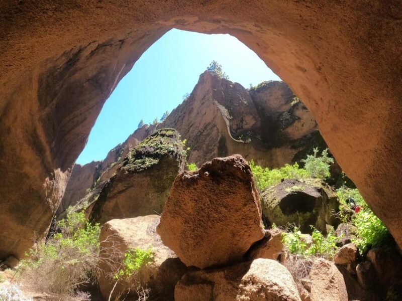 Tenerife: Guided Canyoning Experience in Los Arcos - Abseiling Walls of Up to 20 Meters